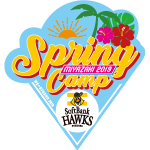 福岡ソフトバンクホークス 2019年春季キャンプ